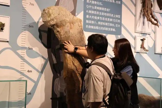 廣州正佳自然科學(xué)博物館